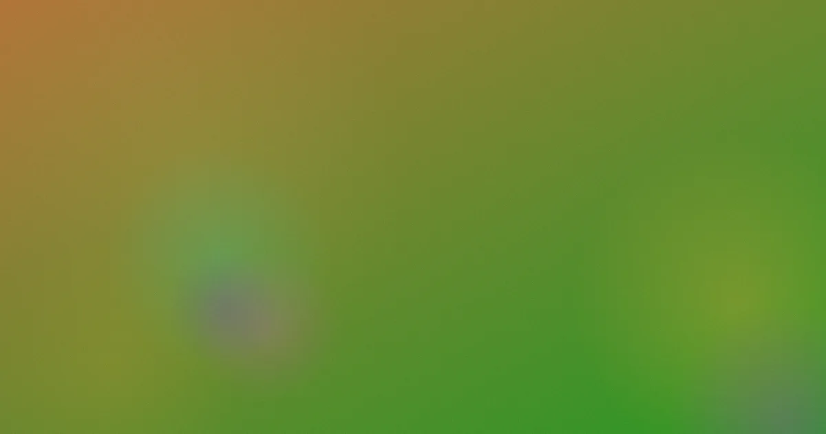 犬王推荐：新手这样入坑不亏
